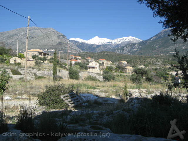 OIKIA_13