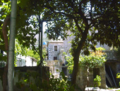 ag.sophia