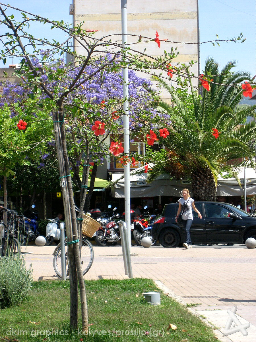 OIKIA_13