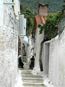 kastania