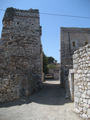 lageia 2